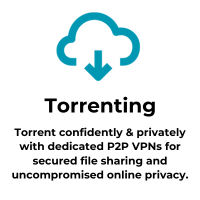 torrenting