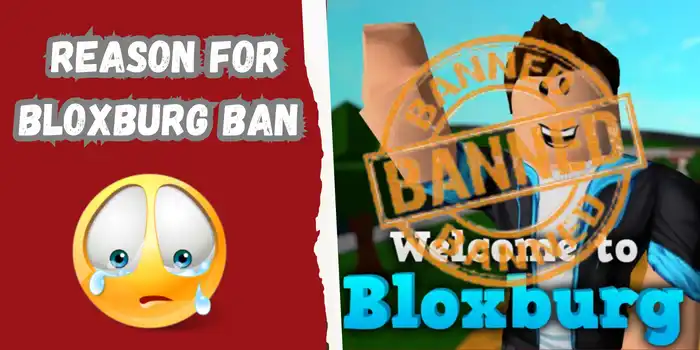 Reason for Bloxburg Ban