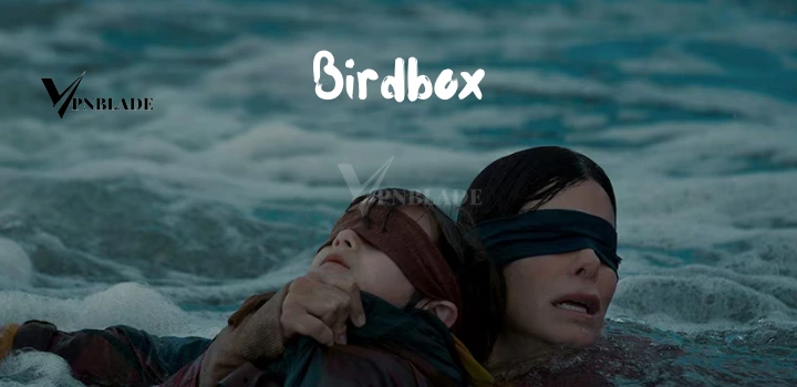 one more surviva movie is Birdbox