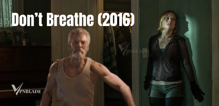 survival movie on netflix is Don't Breathe (2016)